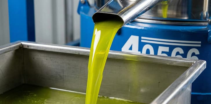 Schonende Kaltpressung der Oliven